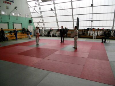 Gwiazdkowy Turniej Judo Dzieci - Poznań, 17.12.2011 r.