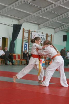 Zimowy Turniej Judo Dzieci i Młodzików - Poznań, 29.01.2012 r.