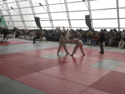 Mistrzostwa Wielkopolski Szkół Podstawowych na 2012 r. - Poznań, 25.03.2012 r.