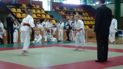 XXII Turniej Judo z Okazji Dni Leszna - 12.05.2012 r.