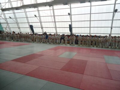 Poznański Turniej Judo Dzieci i Młodzików - Poznań, 17.11.2012 r.