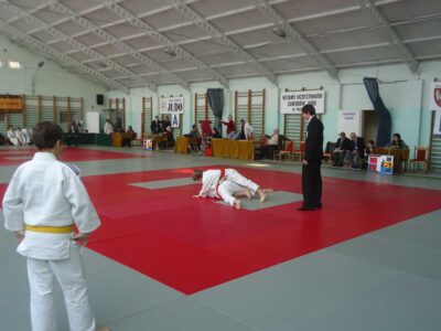Poznański Turniej Judo Dzieci i Młodzików - Poznań, 17.11.2012 r.