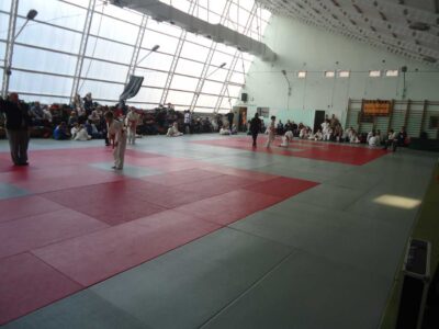 Poznański Turniej Judo Dzieci i Młodzików - Poznań, 17.11.2012 r.