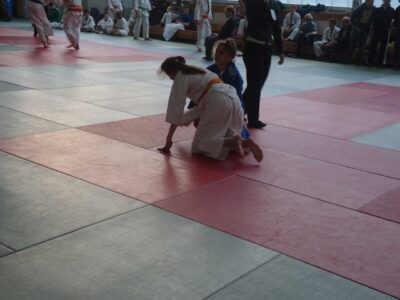 Poznański Turniej Judo Dzieci i Młodzików - Poznań, 17.11.2012 r.