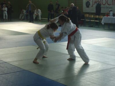 Mistrzostwa Wielkopolski Dzieci, Młodzików, Juniorów Młodszych i Juniorów - Cielcza, 1-2.03.2014 r.