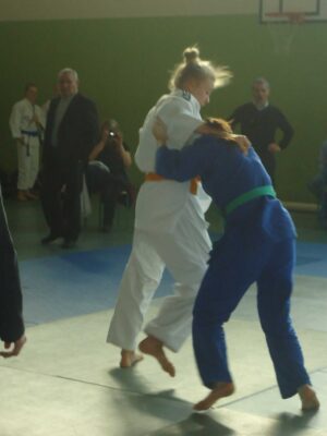 Mistrzostwa Wielkopolski Dzieci, Młodzików, Juniorów Młodszych i Juniorów - Cielcza, 1-2.03.2014 r.