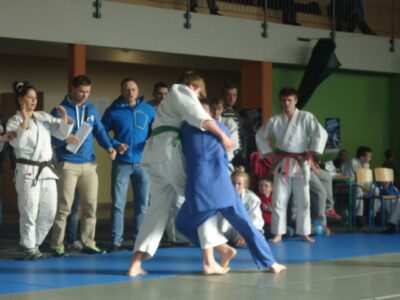 Mistrzostwa Wielkopolski Dzieci, Młodzików, Juniorów Młodszych i Juniorów - Cielcza, 1-2.03.2014 r.