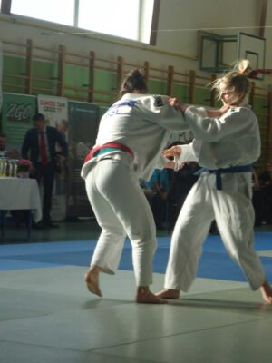 Mistrzostwa Wielkopolski Dzieci, Młodzików, Juniorów Młodszych i Juniorów - Cielcza, 1-2.03.2014 r.