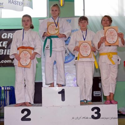DSC_0015judo (Copy)